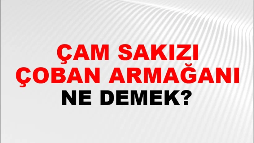 Çam Sakızı Çoban Armağanı Çam Sakızı Çoban Armağanı