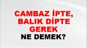 Cambaz İpte, Balık Dipte Gerek