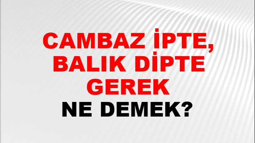 Cambaz İpte, Balık Dipte Gerek Cambaz İpte, Balık Dipte Gerek