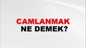 Camlanmak