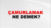 Çamurlamak