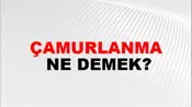 Çamurlanma