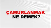 Çamurlanmak