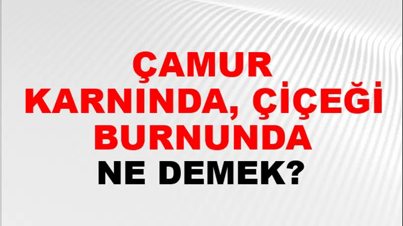 Çamuru Karnında, Çiçeği Burnunda Çamuru Karnında, Çiçeği Burnunda