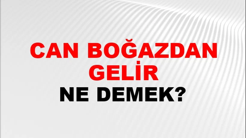 Can Boğazdan Gelir (Veya geçer) Can Boğazdan Gelir (Veya geçer)