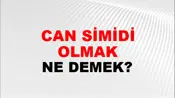 Can Simidi Olmak