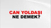 Can Yoldaşı