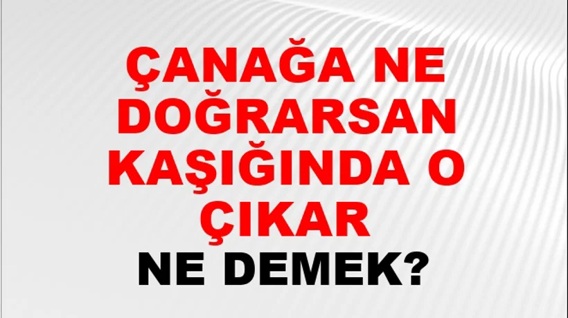 Çanağa Ne Doğrarsan Kaşığında O Çıkar Çanağa Ne Doğrarsan Kaşığında O Çıkar