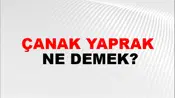Çanak Yaprak