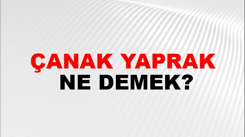 Çanak Yaprak Çanak Yaprak