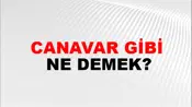 Canavar Gibi