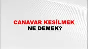 Canavar Kesilmek