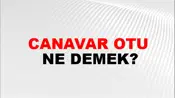 Canavar Otu