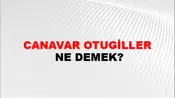 Canavar Otugiller