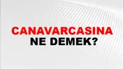 Canavarcasına