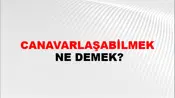 Canavarlaşabilmek