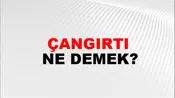 Çangırtı