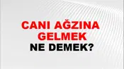 Canı Ağzına (Veya boğazına) gelmek