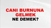 Canı Burnuna (Veya burnundan) gelmek