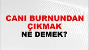 Canı Burnundan Çıkmak