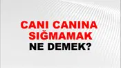 Canı Canına (Veya içine) sığmamak