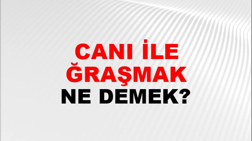 Canı İle Uğraşmak Canı İle Uğraşmak