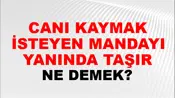 Canı Kaymak İsteyen Mandayı Yanında Taşır
