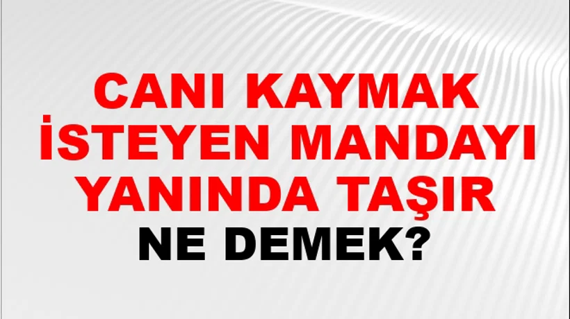 Canı Kaymak İsteyen Mandayı Yanında Taşır Canı Kaymak İsteyen Mandayı Yanında Taşır