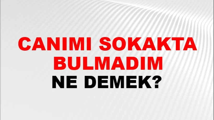 Canımı Sokakta Bulmadım Canımı Sokakta Bulmadım