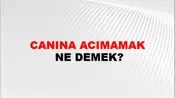 Canına Acımamak