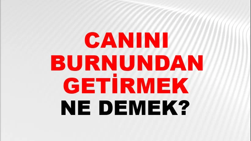 Canını Burnundan Getirmek Canını Burnundan Getirmek