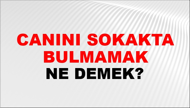 Canını Sokakta Bulmamak