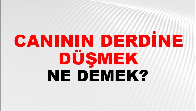 Canının Derdine Düşmek