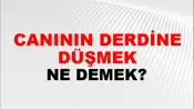 Canının Derdine Düşmek