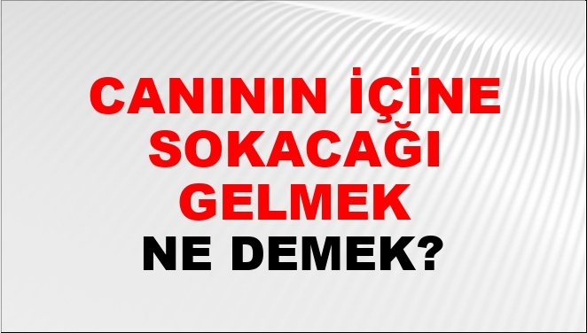 Canının İçine Sokacağı Gelmek