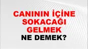 Canının İçine Sokacağı Gelmek