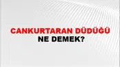 Cankurtaran Düdüğü