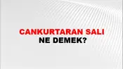 Cankurtaran Salı