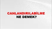 Canlandırılabilme