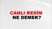 Canlı Resim
