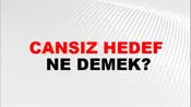 Cansız Hedef