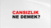 Cansızlık