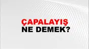 Çapalayış