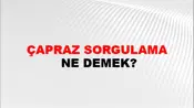 Çapraz Sorgulama