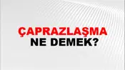 Çaprazlaşma