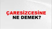 Çaresizcesine