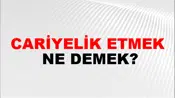 Cariyelik Etmek