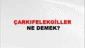Çarkıfelekgiller