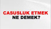 Casusluk Etmek