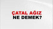 Çatal Ağız